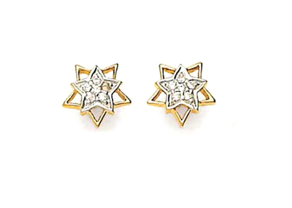 Dual Tone Plated | Fashion Earrings